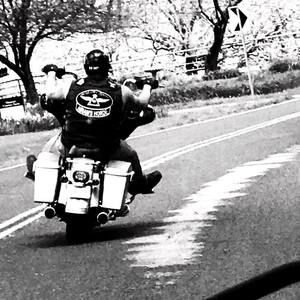 Meet your Posher, Phil